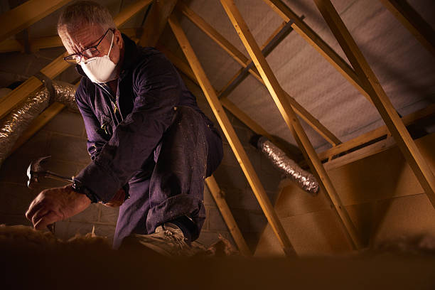 Types of Insulation We Offer in Stockton University, NJ